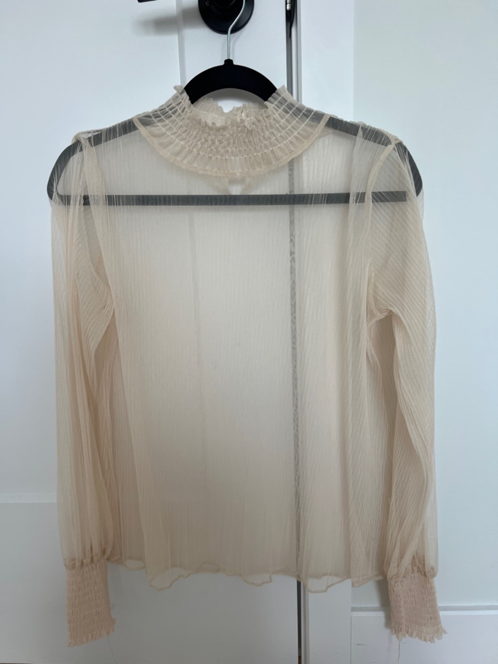 Sheer Pleated Mock Neck Long-Sleeve Top - Cream